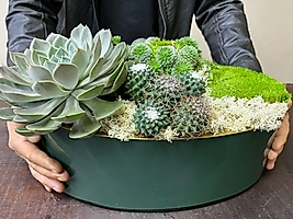 Mix Kaktüs Tasarım