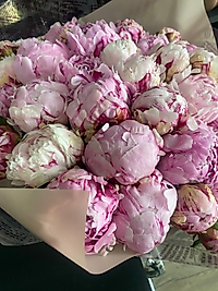 30 Adet Şakayık Buketi