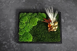 Yosun Duvar Tablolar