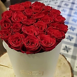 Love İs