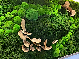 Dikey Yosun Özel  Tasarım