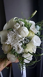 Calla Şakayık Gelin Çiçeği