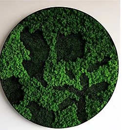 Yosun Duvar Tablo Karışık Ton