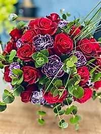 Vazoda Kırmızı Gül